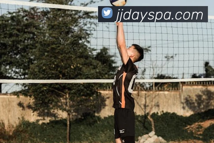 App Interface Preview